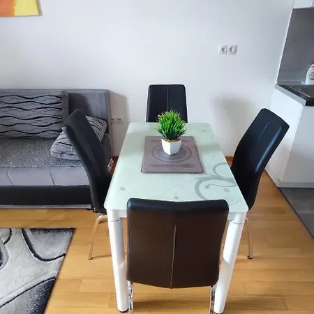 Apartman Miki Centar 巴尼西卢卡